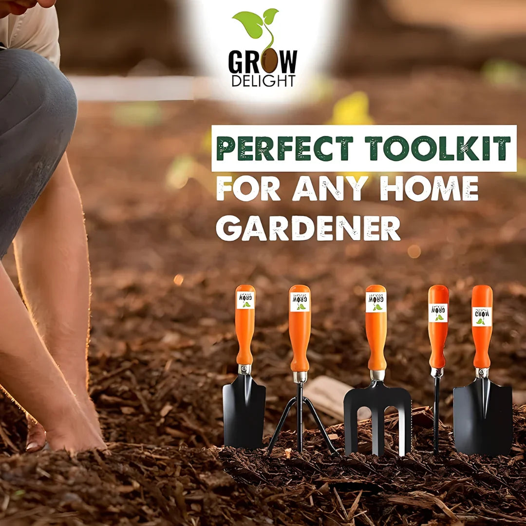 6 in 1 Garden Tools with Box